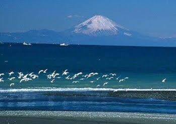 Tateyama Seaside Hotel Eksteriør billede